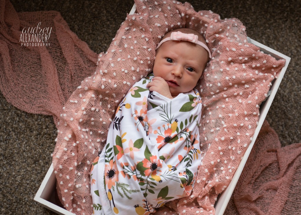 Marietta-48-fresh-newborn-photographer-AudreyAlexanderPhotography