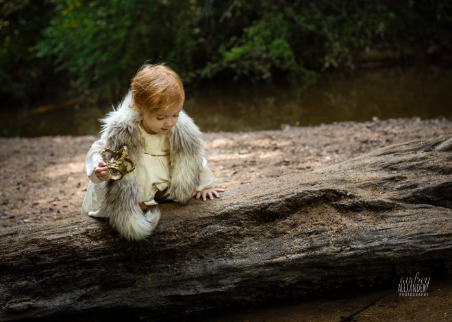 WheretheWildThingsAreSeries-Watermark-6