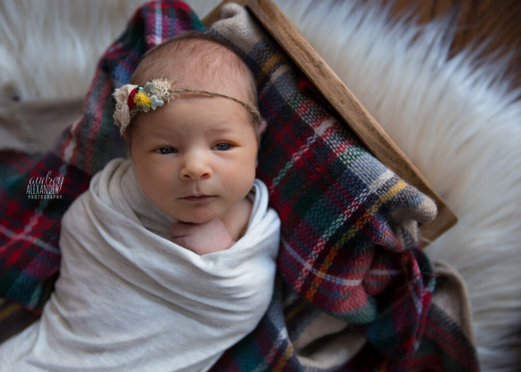 roswell-newborn-photographer-AudreyAlexanderPhotography