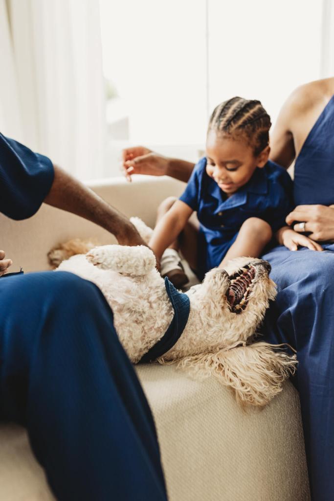 Family and dog playing at studio photo shoot